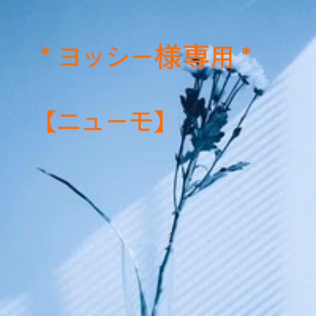 ヨッシー様専用【ニューモ】