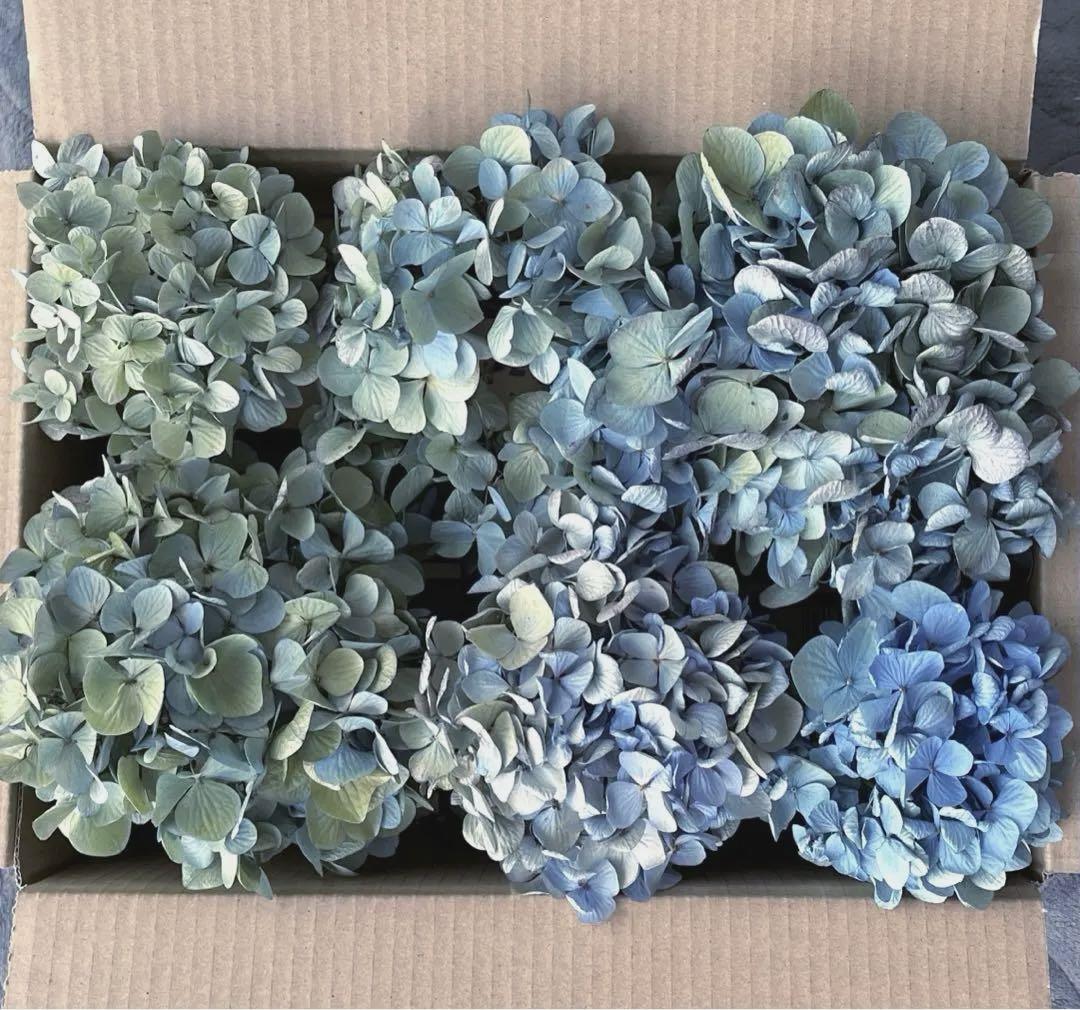 紫陽花　ドライフラワー　4セット