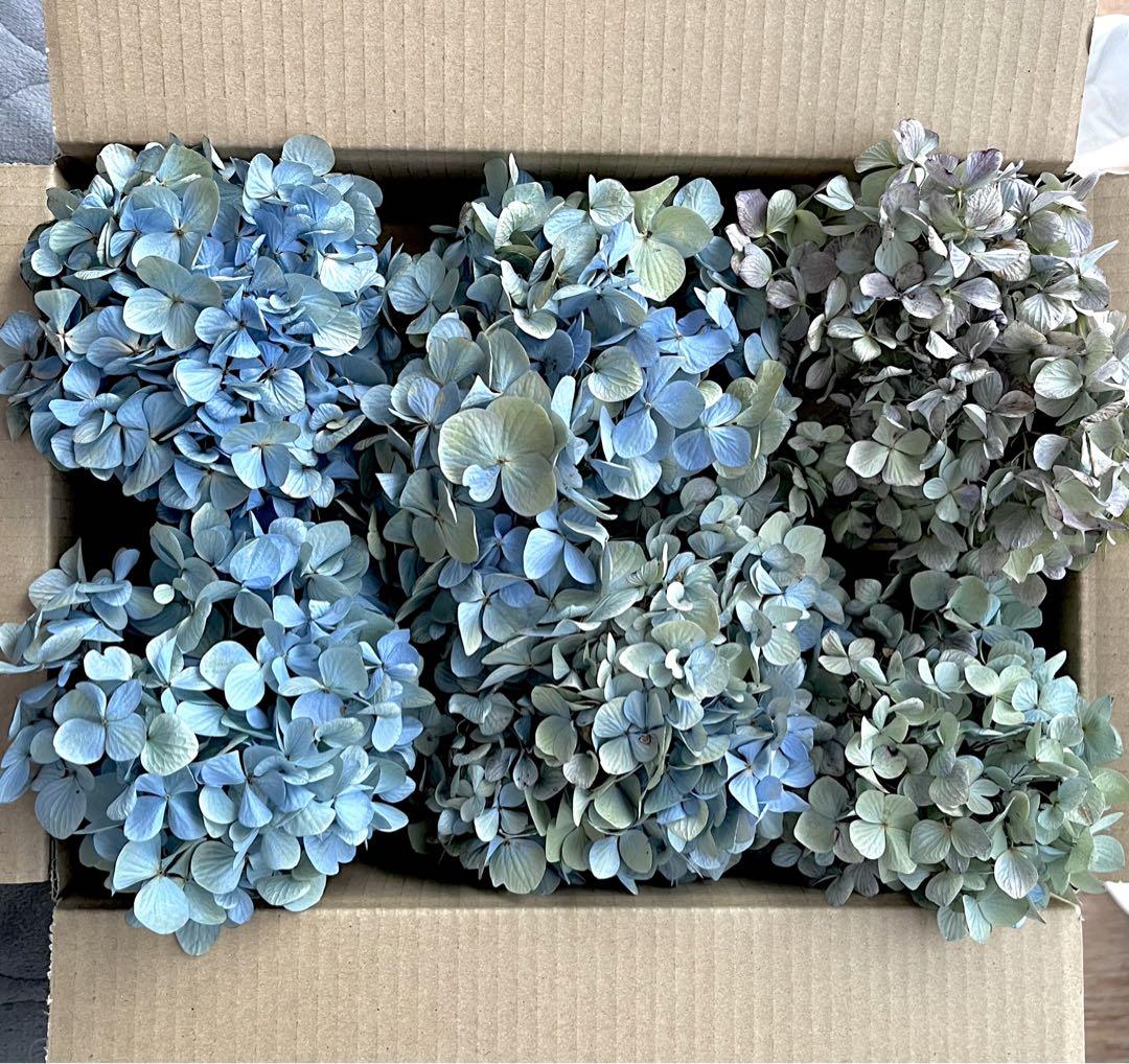 紫陽花　ドライフラワー　4セット