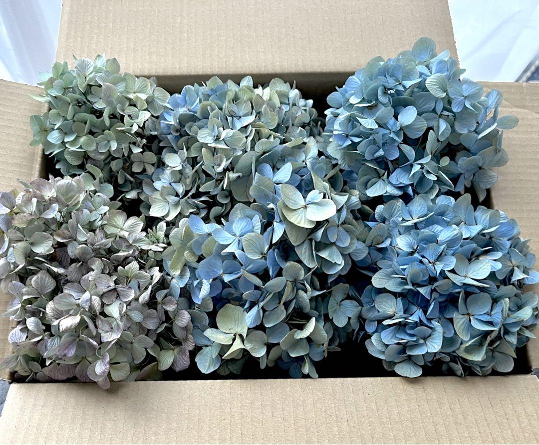 紫陽花　ドライフラワー　4セット