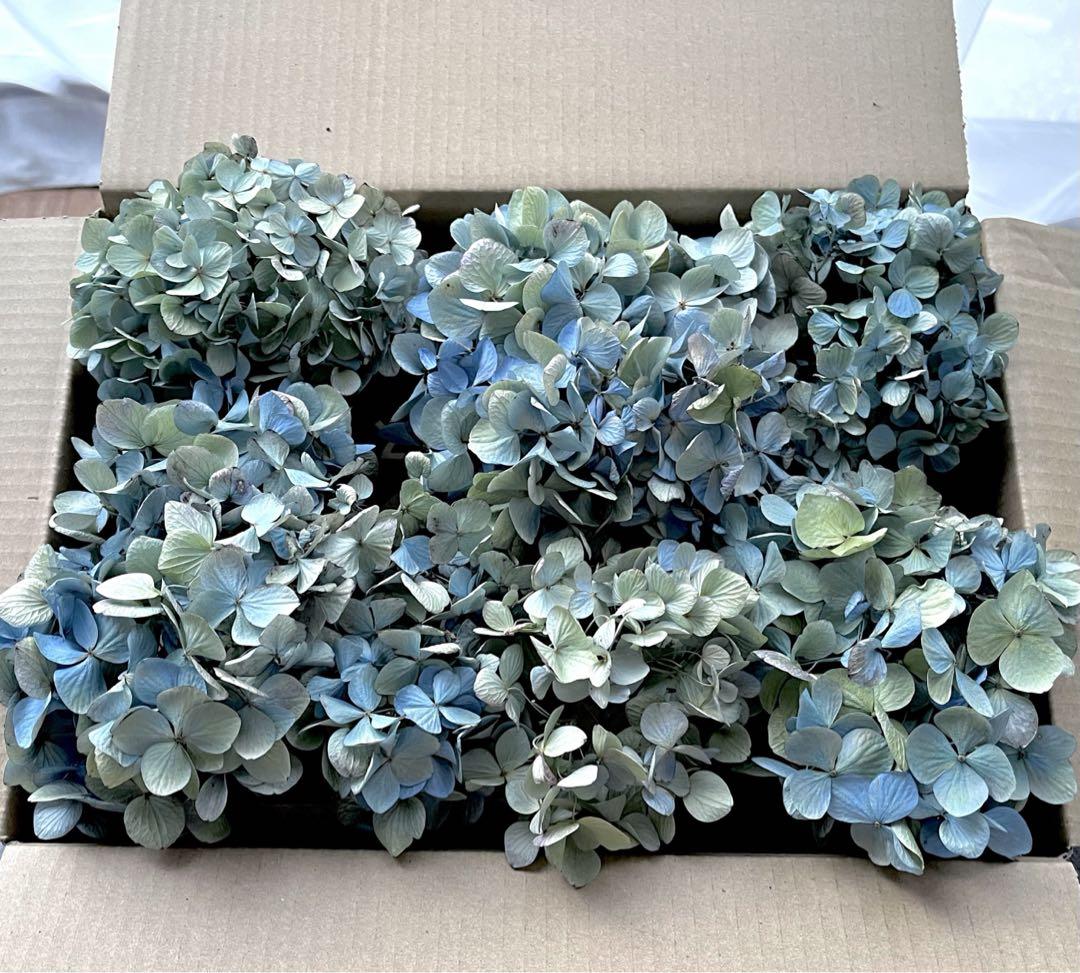 紫陽花　ドライフラワー　4セット