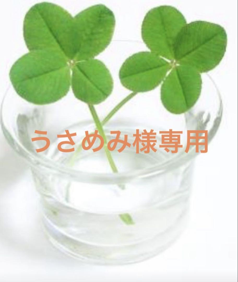 うさめみ