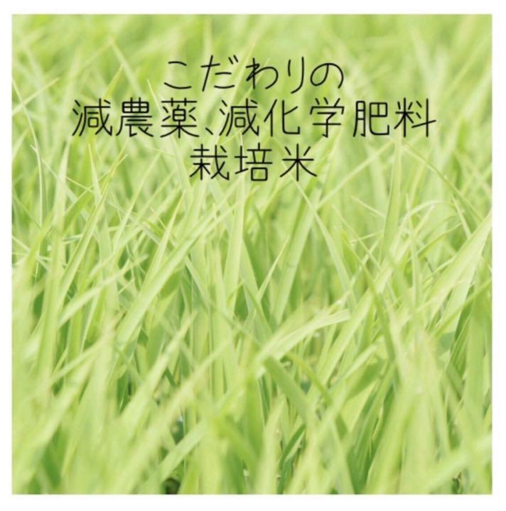 オバビ様専用 白米20kg 5分づき Svhl8-m53255548115 ゆうだい21 定番安い