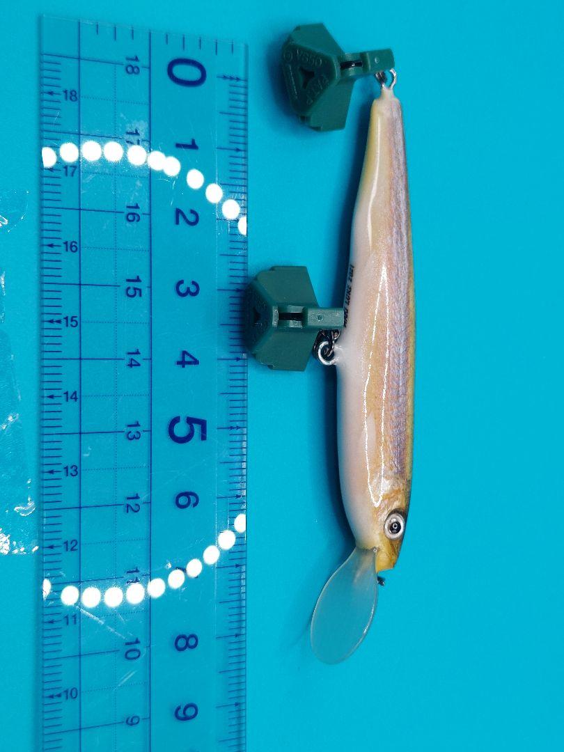 makiハンドメイドルアー公魚剥製仕様 特注品