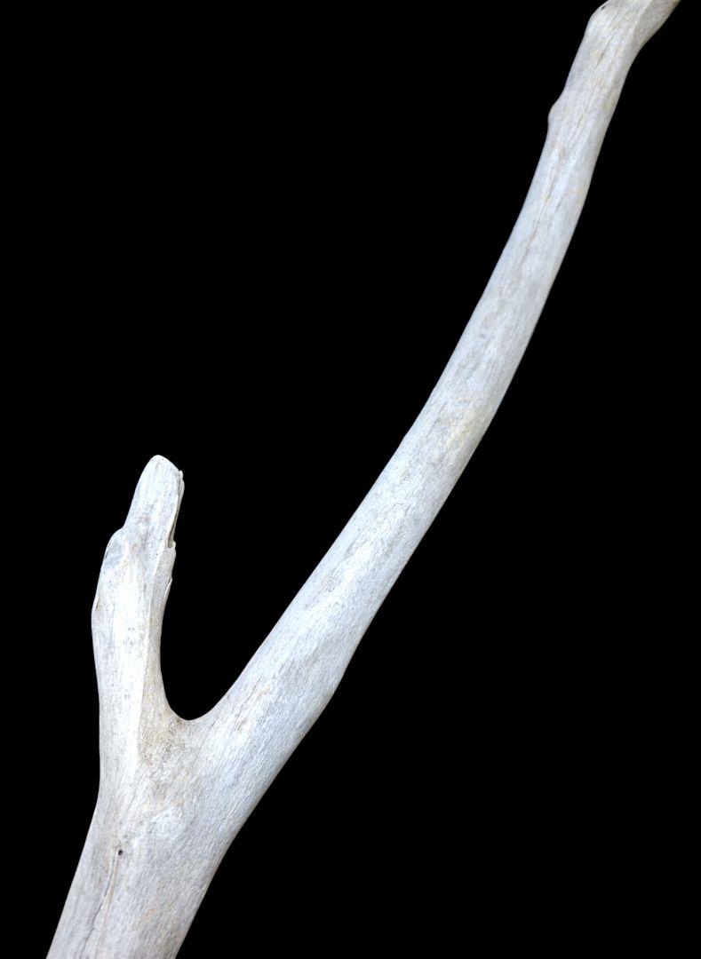 発送たのメル便 ✾海からの特注品✾