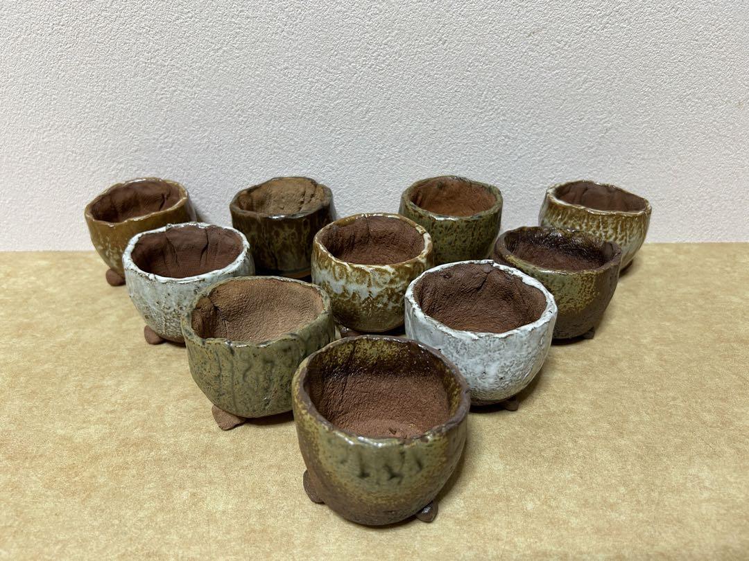 こけむすび