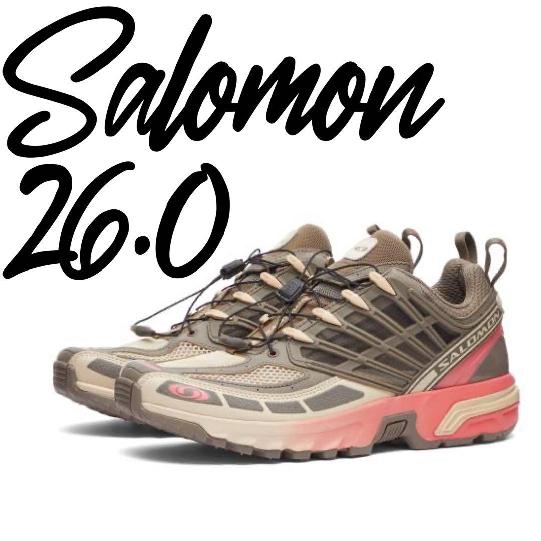 【定価3.3万】SALOMON ACSPRO コーラル スニーカー 26cm