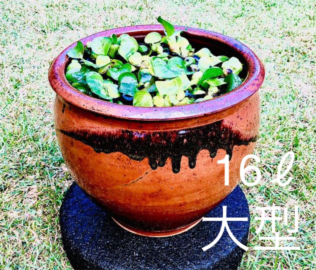 爆売り!】 魚用品/水草 ペット用品-laeknavaktin.is 公式ウェブサイト No.1066 大型三又流木! 魚用品/水草