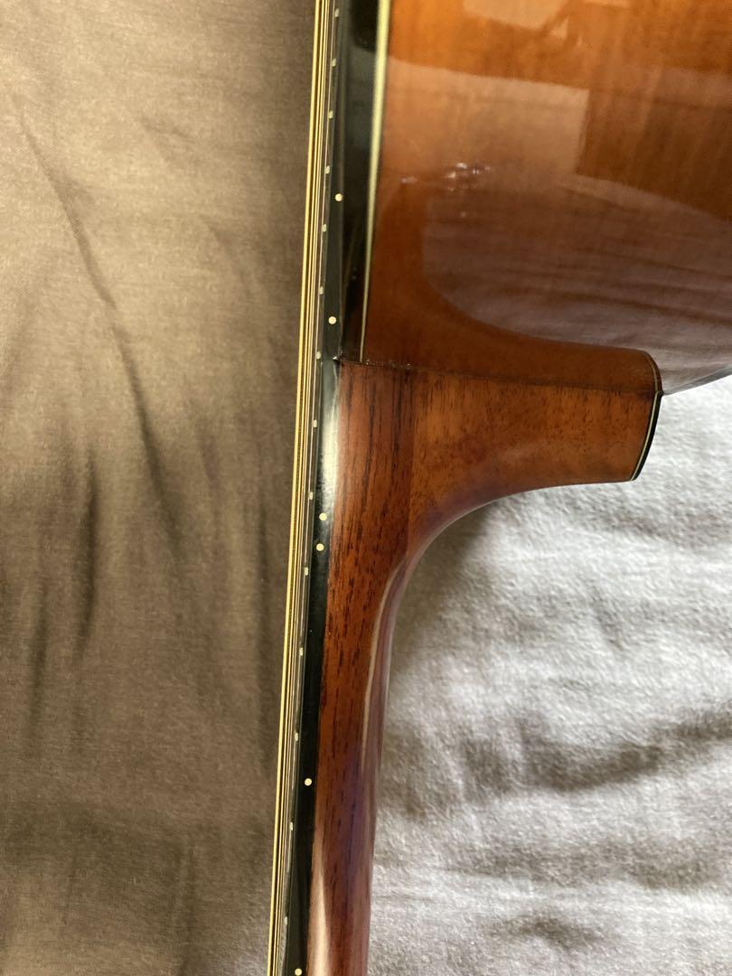 【Morris F-01 改良　エレアコ】