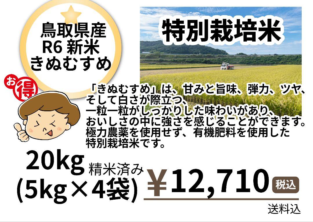 新米　特別栽培米 きぬむすめ 20kg精米済