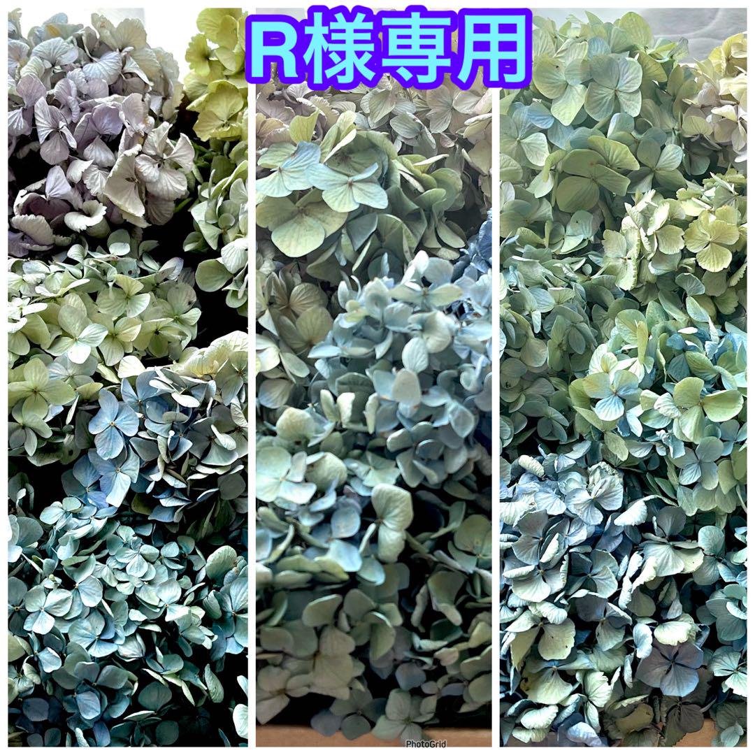 紫陽花　ドライフラワー　多種混合