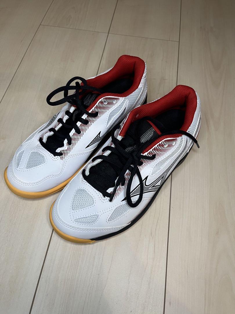 【美品】Mizuno バドミントンシューズ 24.0