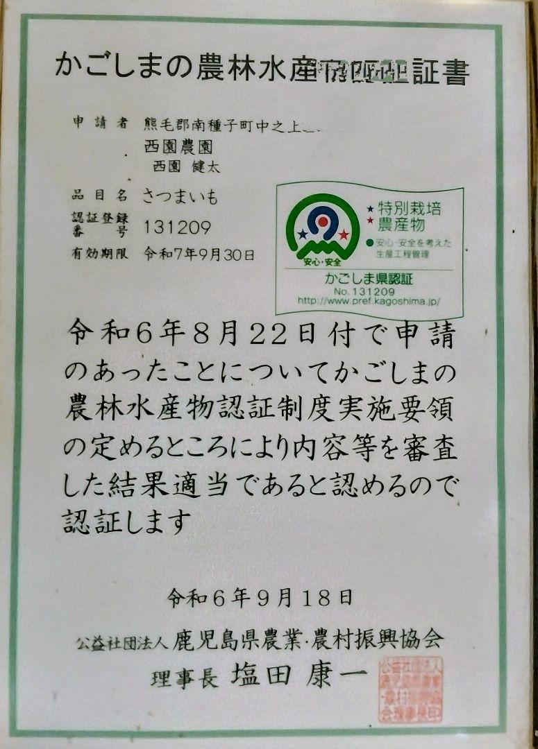 種子島安納いも 10kg 2Sサイズ 紅