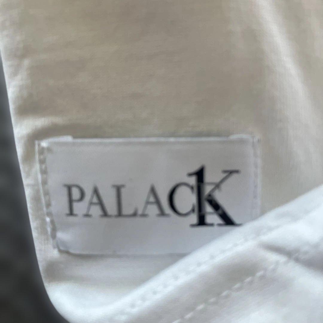 新品 パレス カルバンクライン コラボ Tシャツ Lサイズ 3枚