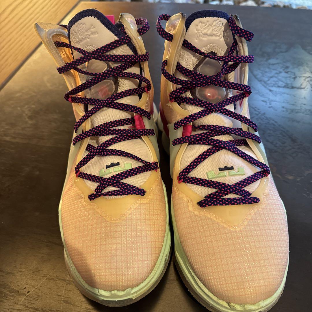 Nike LeBron 19 バスケットボールシューズ