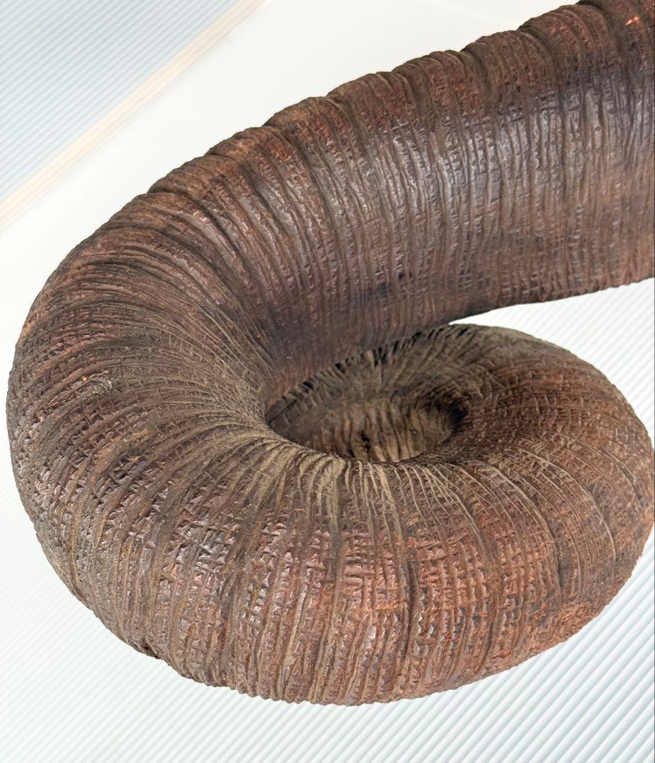 配達 引き取り値引き サイズ大♪ リアル 彫刻 アンティーク 木製 ゾウ 象 配達 引き取り値引き サイズ大♪ リアル 彫刻 アンティーク 木製 ゾウ 象