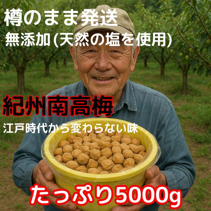 〇高騰 農家直送 紀州南高梅 樽 5000g 無添加 和歌山 紀州 白梅 31