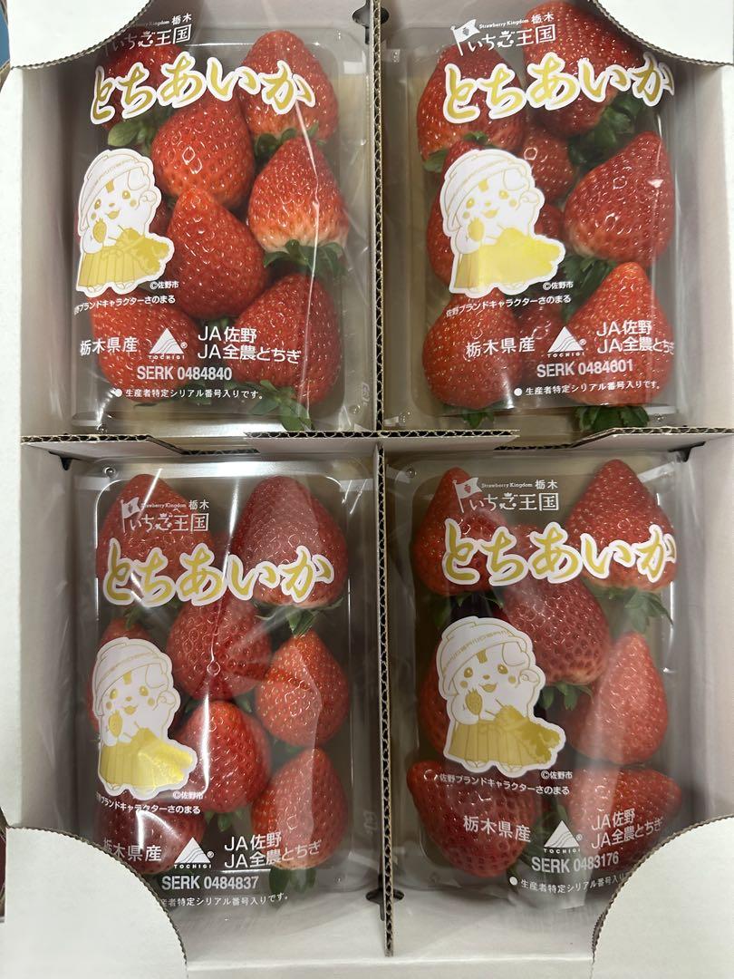 良9) 良品 せとか 約5kg 混合玉 えひめ県産