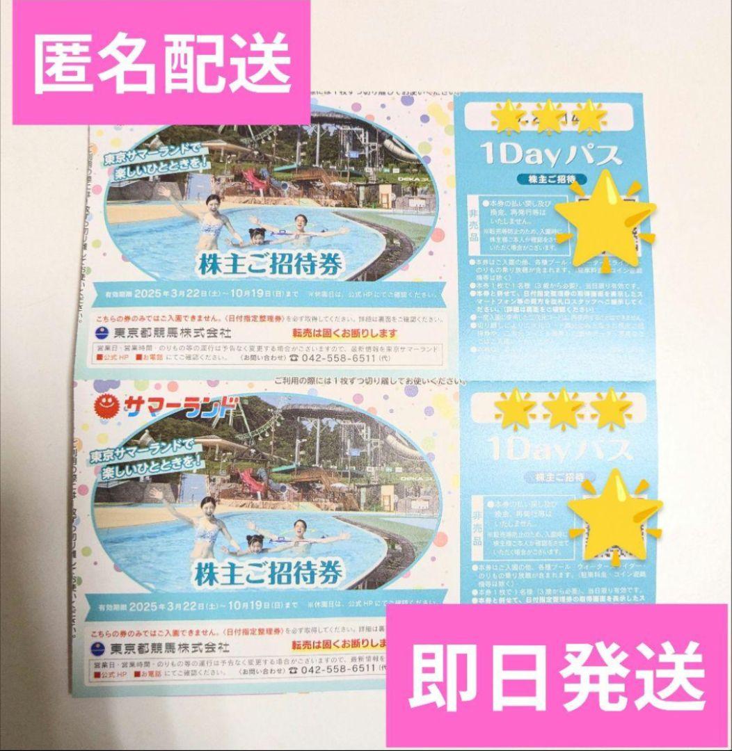 東京サマーランド 1Dayパス