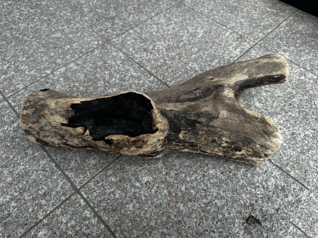 天然流木⑦