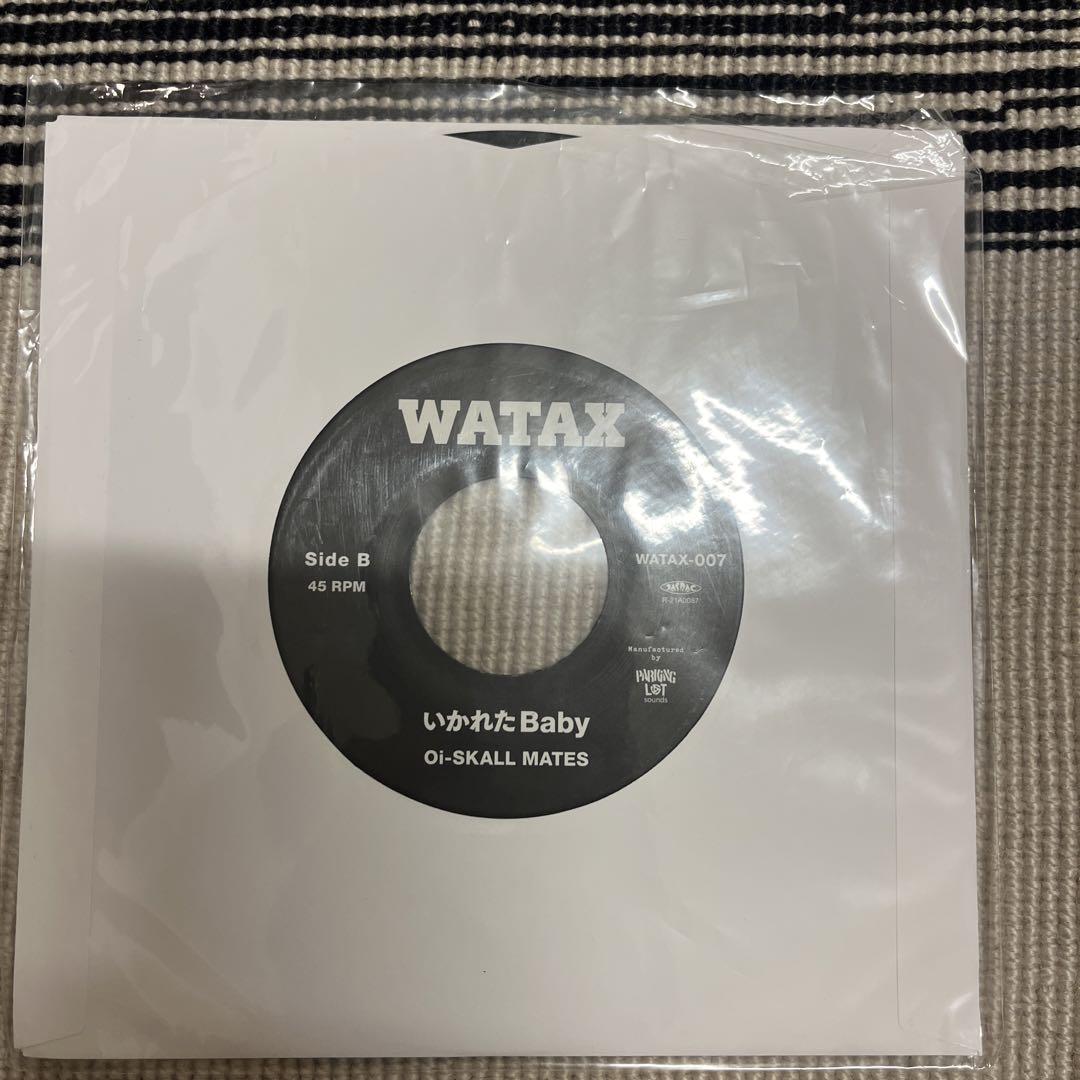 新品★oi-skall mates★いかれたBaby ★fishmans Amazon.co.jp: oi skall mates いかれたbaby アナログ レコード