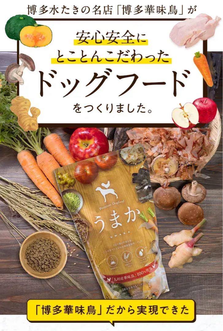 国産プレミアムドッグフード◎うまか　ヒューマングレード　グルテンフリー