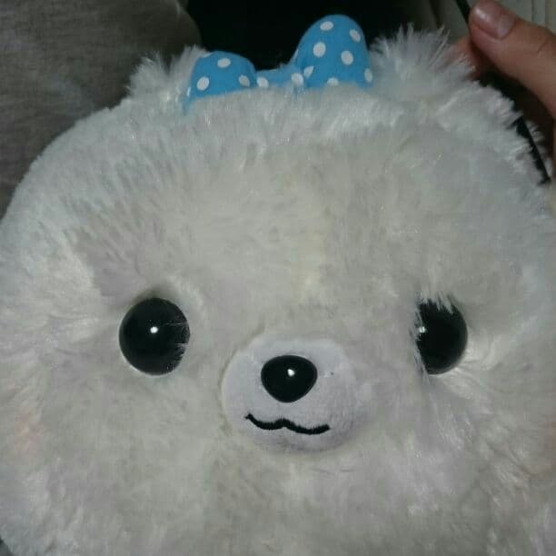 ポメラニアン 白 ぬいぐるみ メルカリ ポメラニアン 白 ぬいぐるみ メルカリ