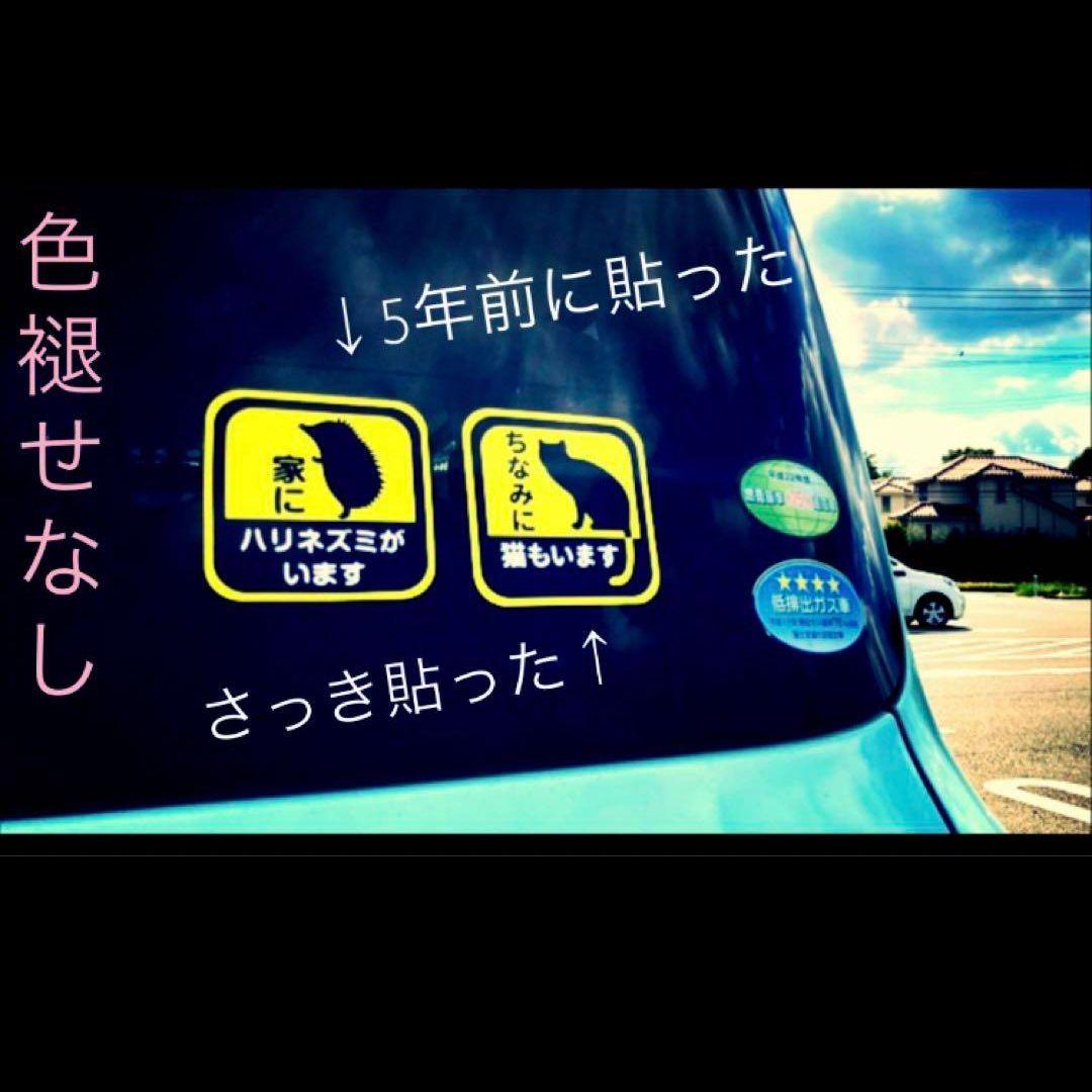 家にいますカーステッカーシリーズ　モモンガ(大)8.5cmサイズ