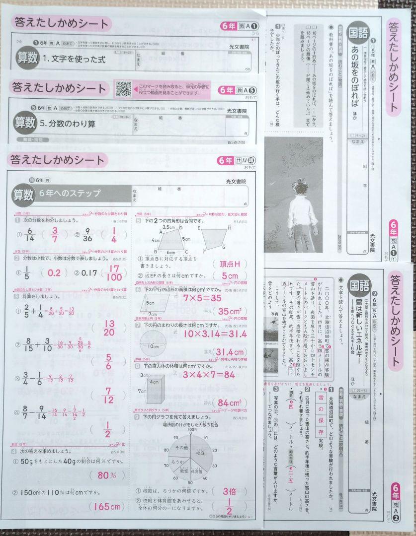 小6 答えたしかめシート 算数3枚・国語2枚 光文書院 - メルカリ