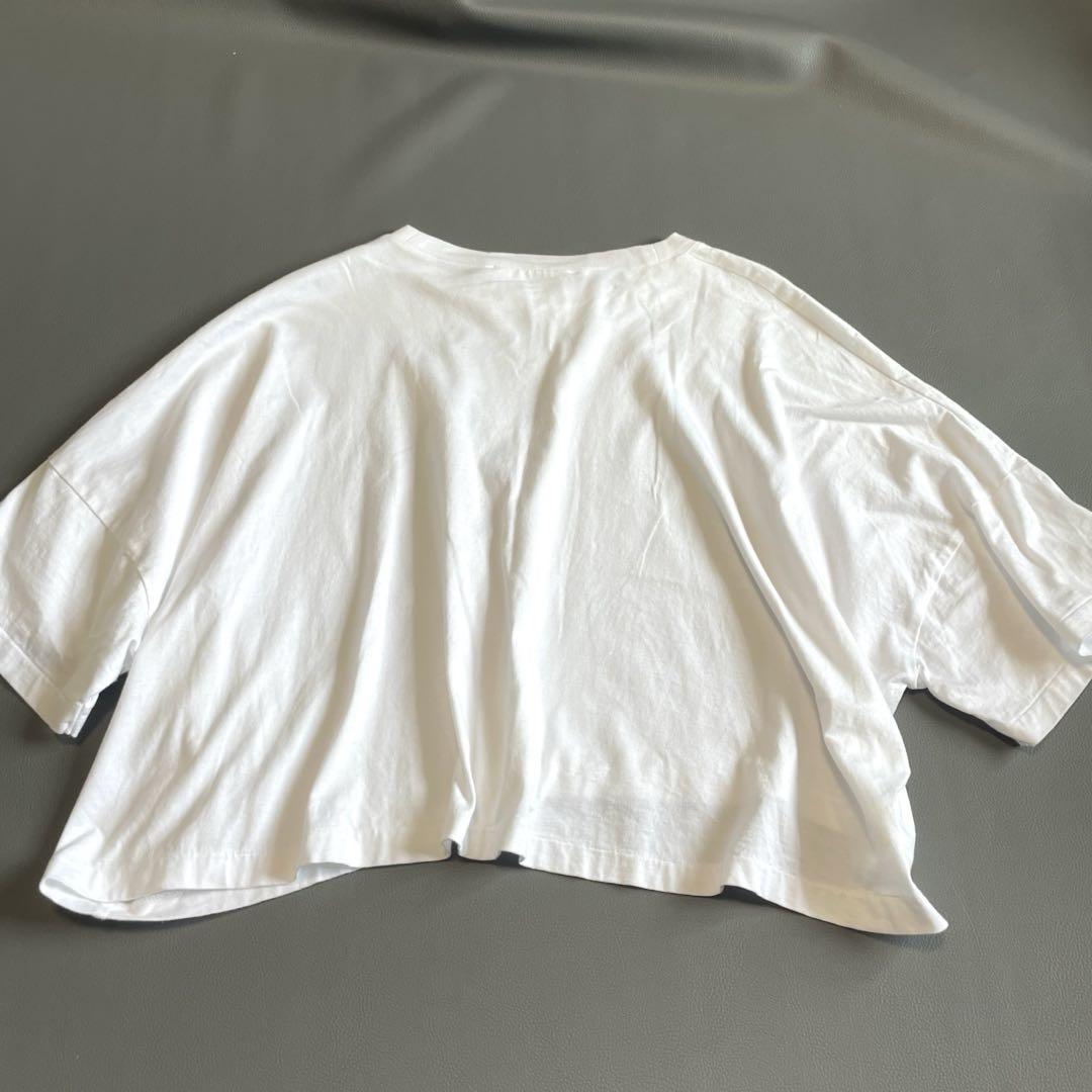 極美品【エンフォルド】変形 Tシャツ 2024SS 白 ウォッシャブル 38 綿