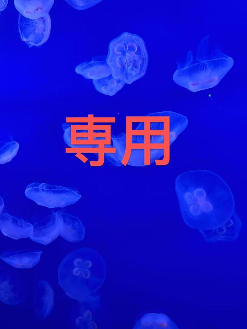 ヴィヴィアンウエストウッド　ALEKSA アレクサ