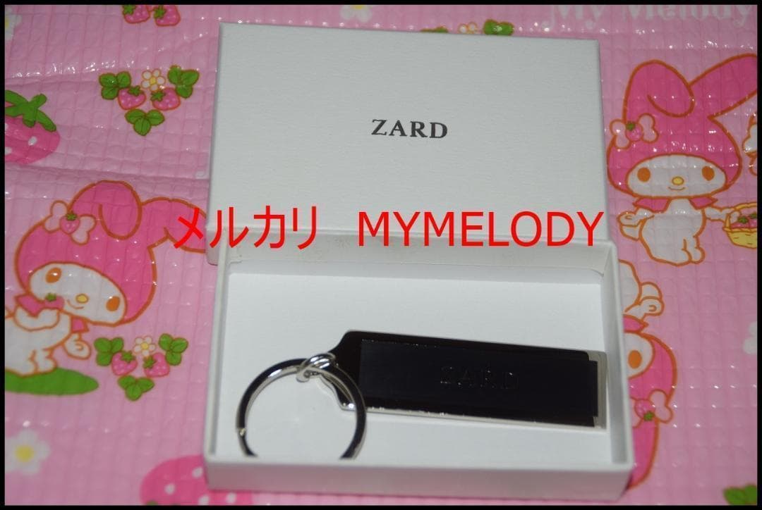 誠実】 レア ZARD 坂井泉水 バッグ fawe.org