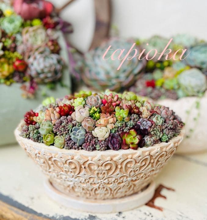 yu様 専用です♡ | smsgolubovci.me