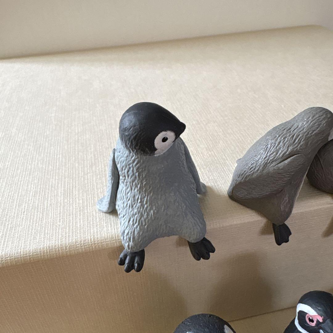 ペンギン ふちやすみ ペンギン 5種 コンプリート セット 新品未開封