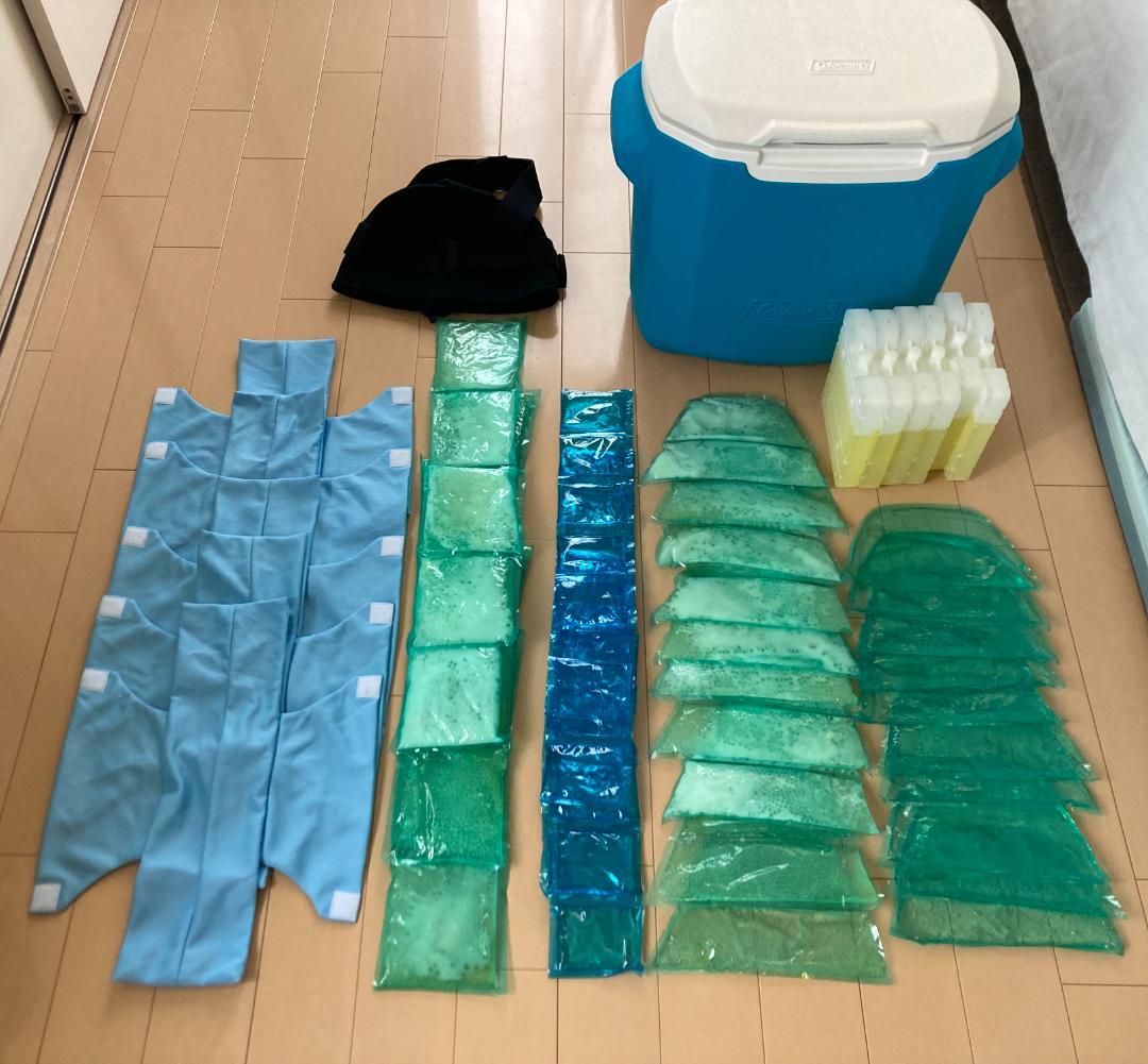 愛帽 アイスジャパン 頭皮冷却帽子 5時間分 - メルカリ