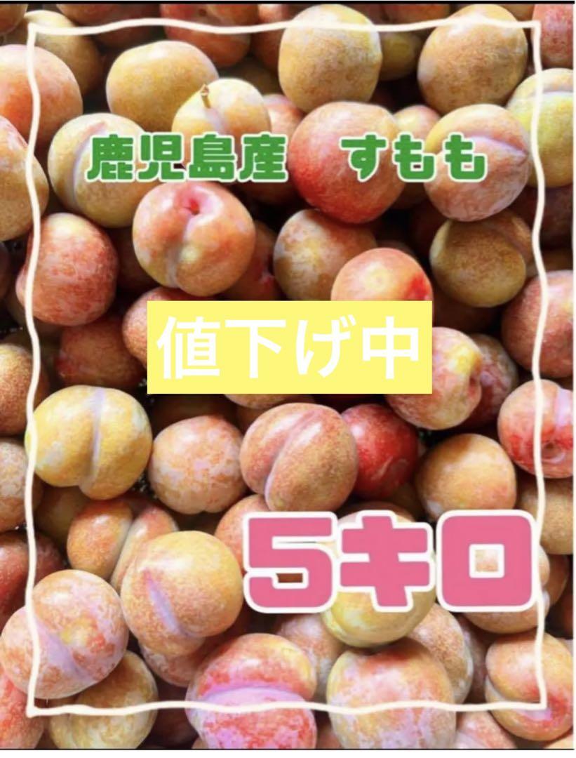 お値下げ中！！すもも 鹿児島産 5キロ