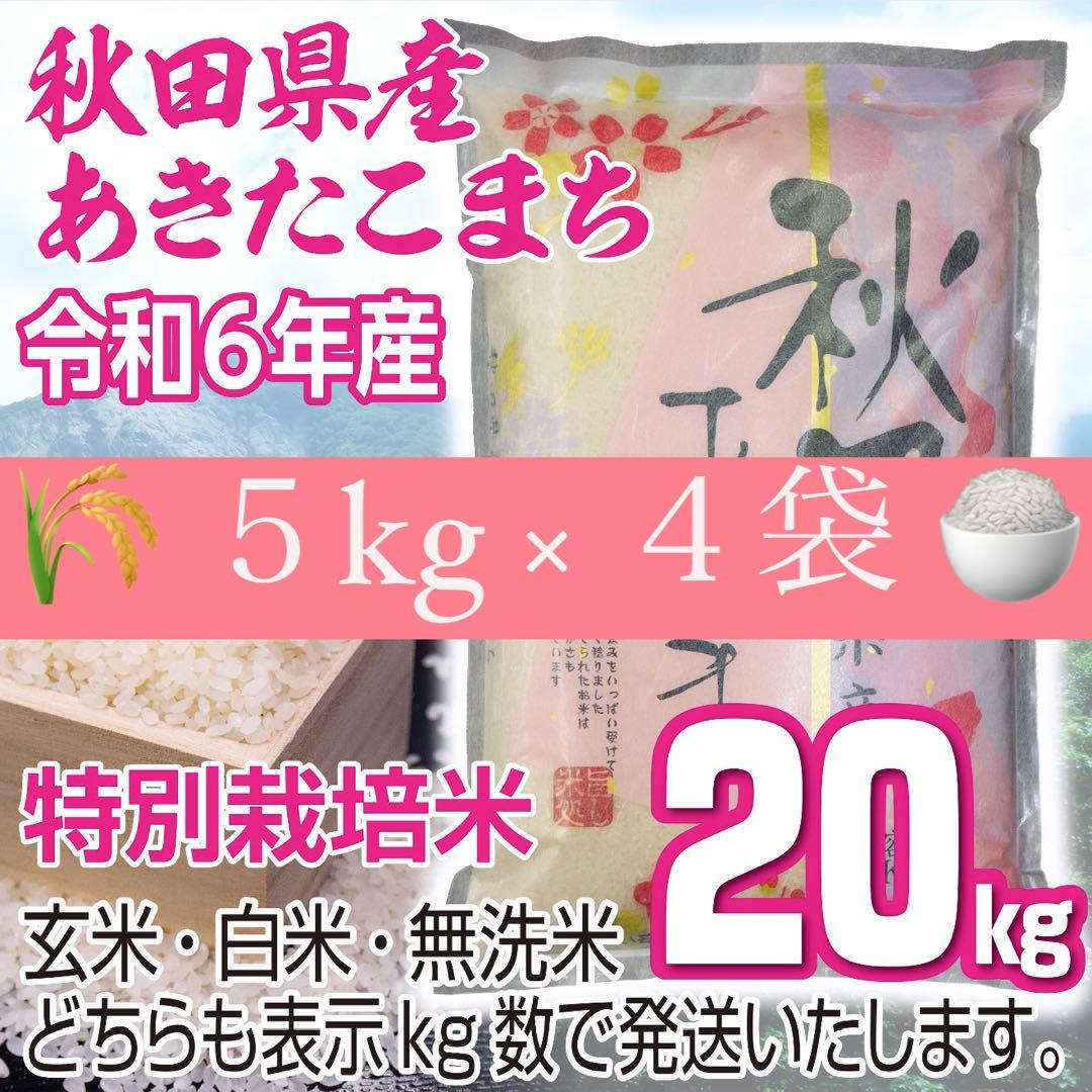 新米 農家直送 秋田県産 令和６年 あきたこまち 20kg 特別栽培米 秋田小町
