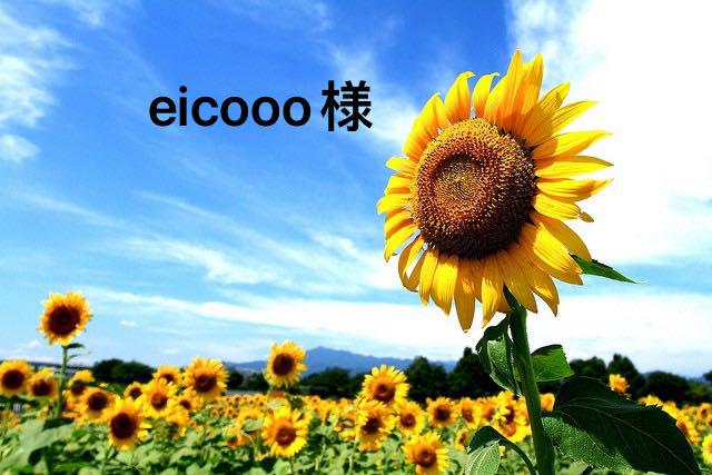 eicooo様