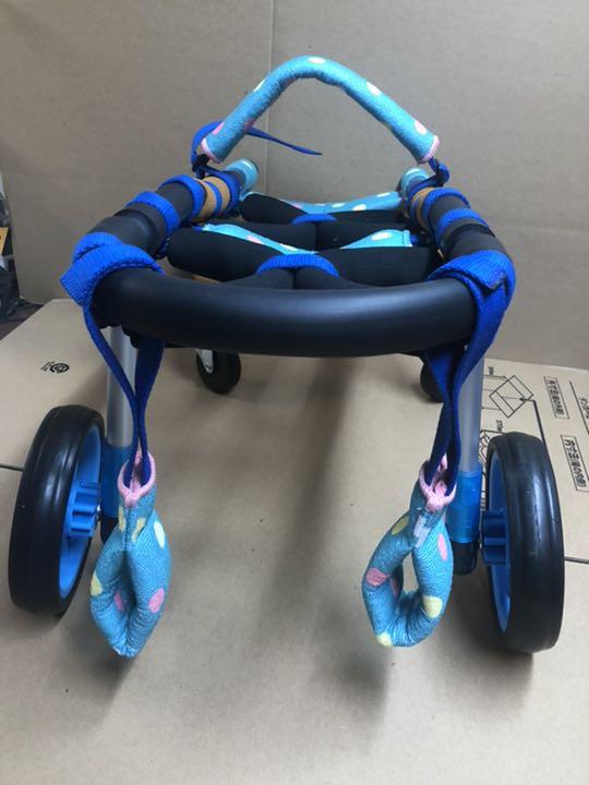 楽天市場】犬用車椅子 4輪 歩行器 車いす 犬用歩行器 車いす