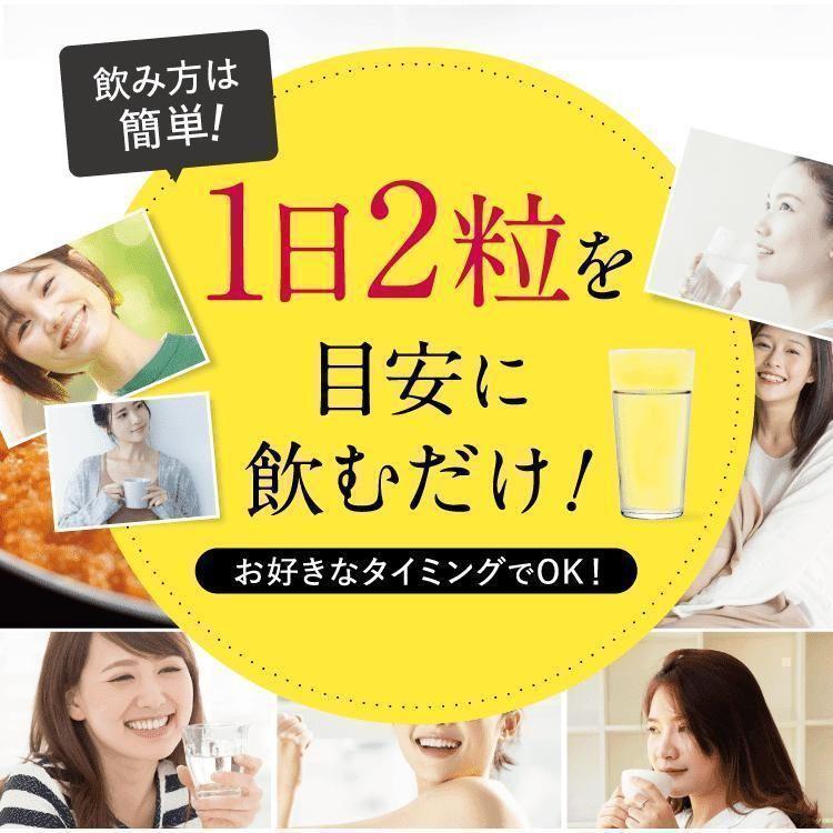 リカボ Re-CABO ダイエット 30粒 3袋セット クレオ製薬 サプリメント