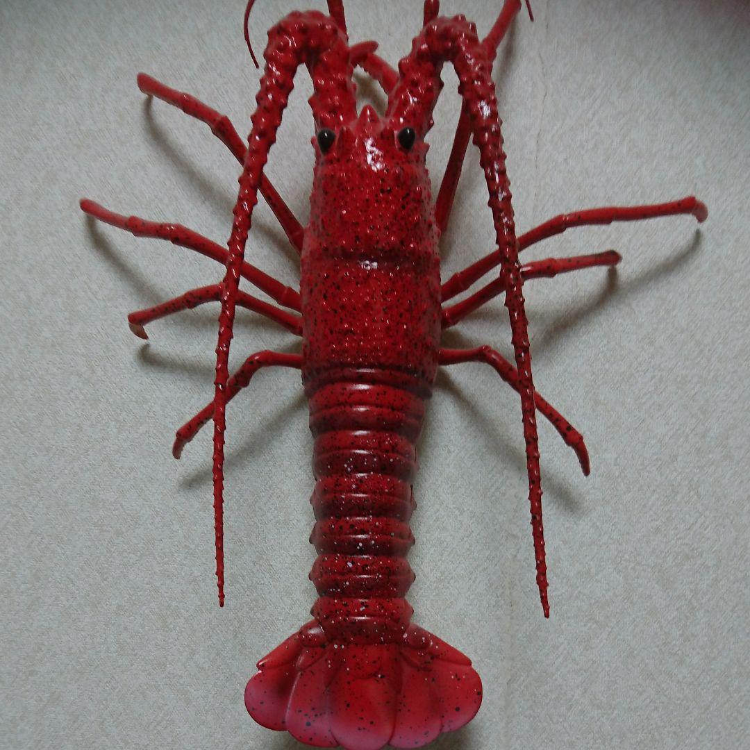 メルカリ 伊勢海老の飾り物 キャラクターグッズ 000 中古や未使用のフリマ メルカリ 伊勢海老の飾り物 キャラクターグッズ 000 中古や未使用のフリマ