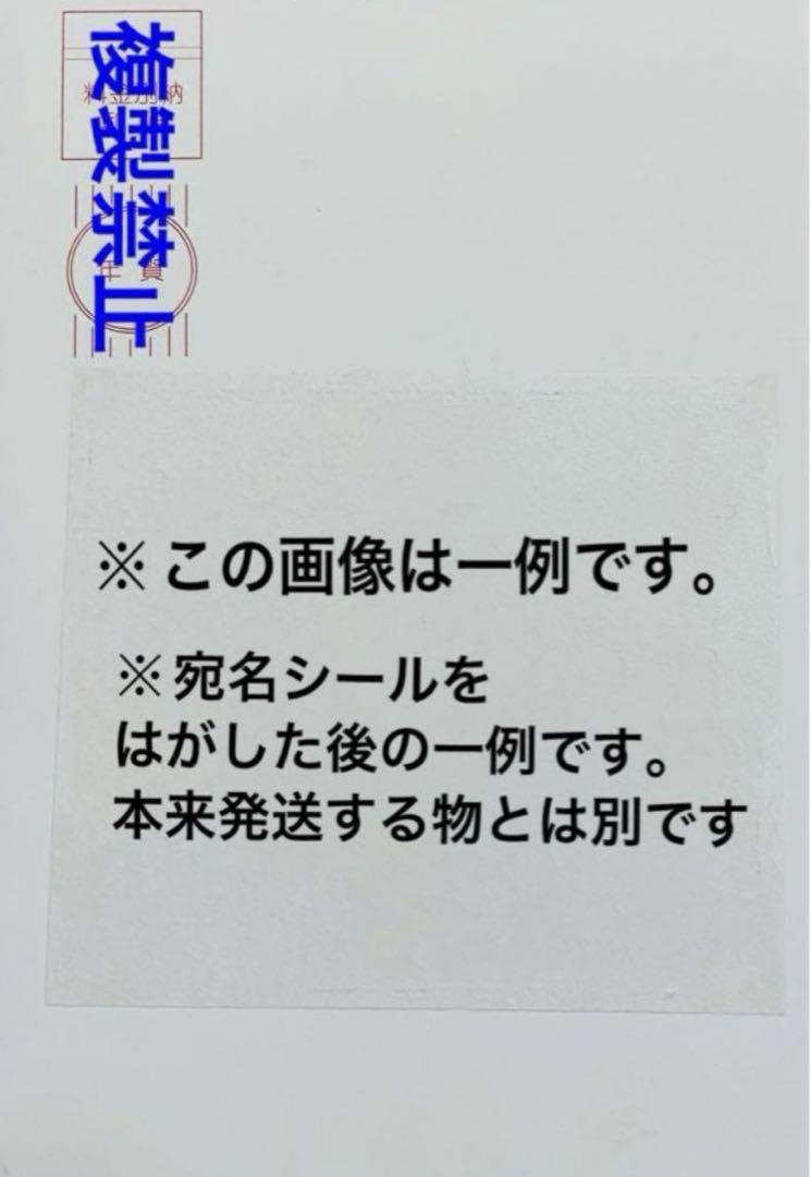テニスの王子様　テニプリ　暑中見舞いハガキ　2009　幸村精市　跡部　手塚　仁王 テニスの王子様 テニプリ 暑中見舞いハガキ 2009 幸村精市 跡部