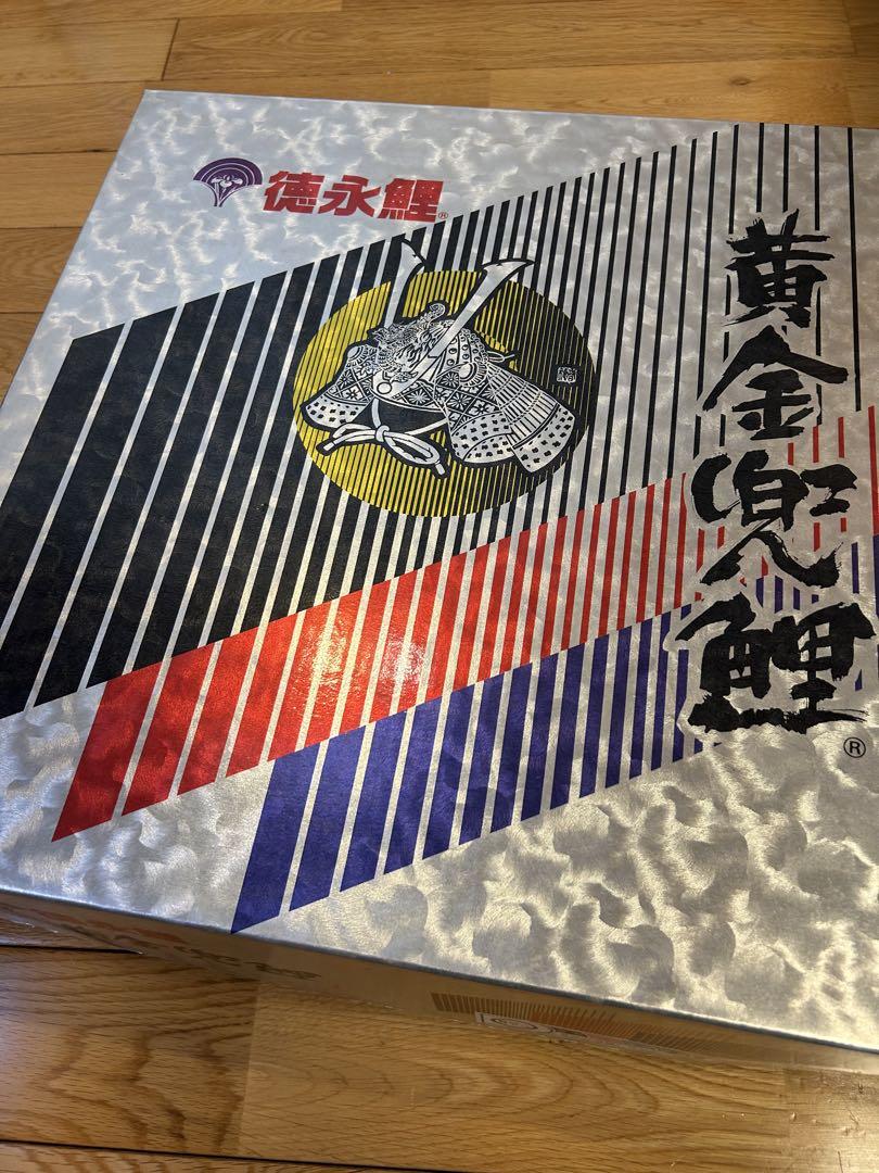 鯉のぼり 大きな鯉のぼり フレーム付き