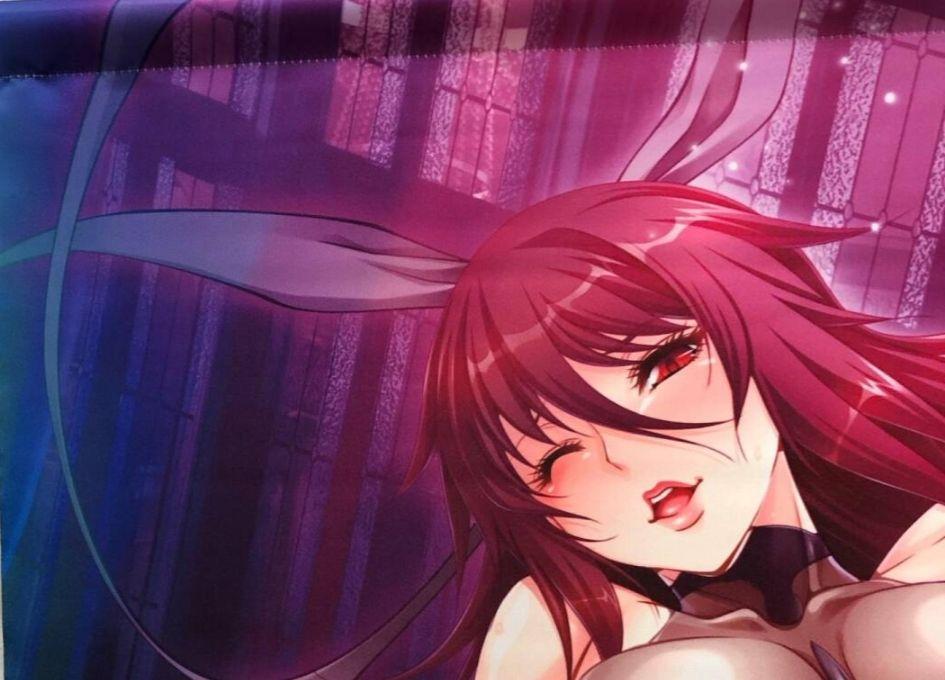 LiLiTH 対魔忍 水城不知火 B2タペストリー
