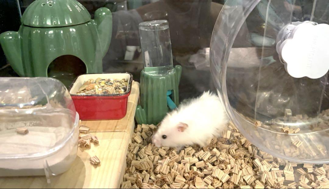 ハムスター飼育セット　ゲージ