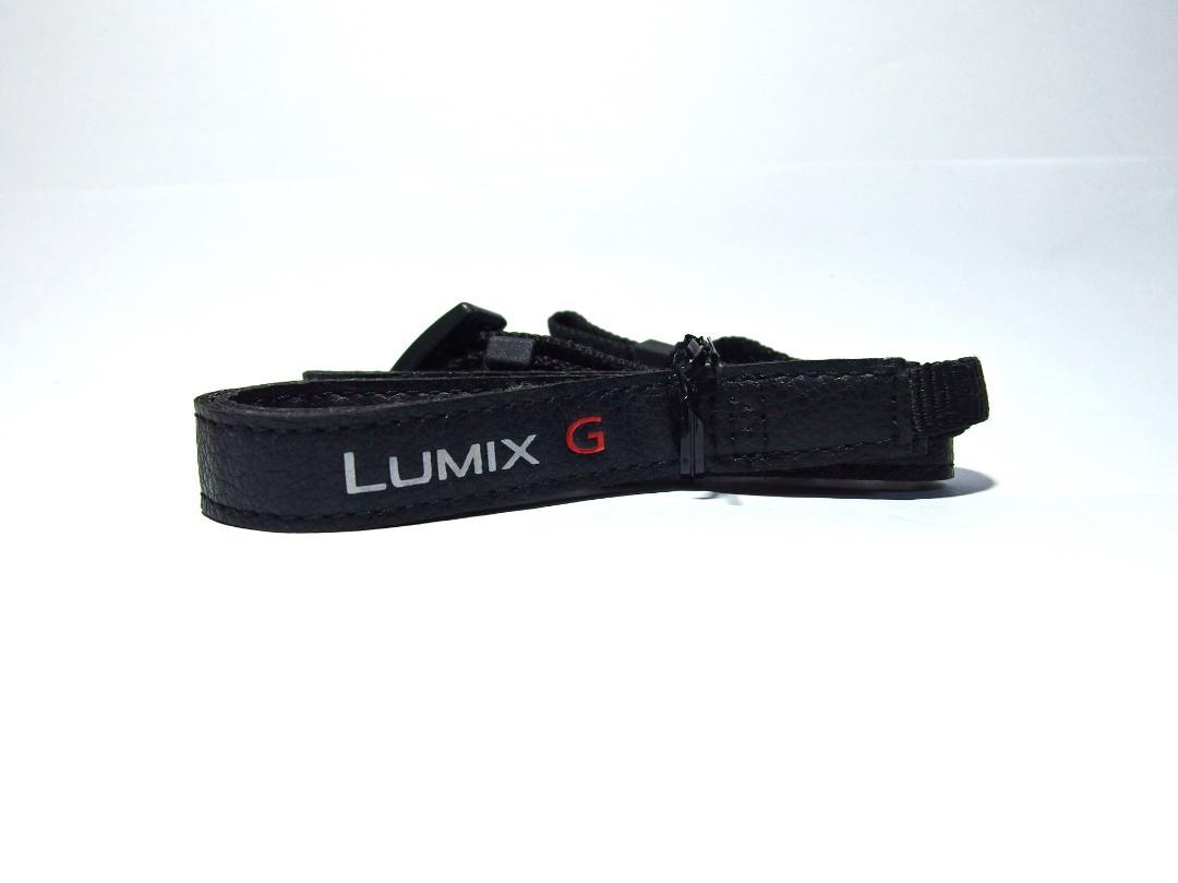 パナソニック　LUMIX DMC-GM1S　レンズキット　ブルー