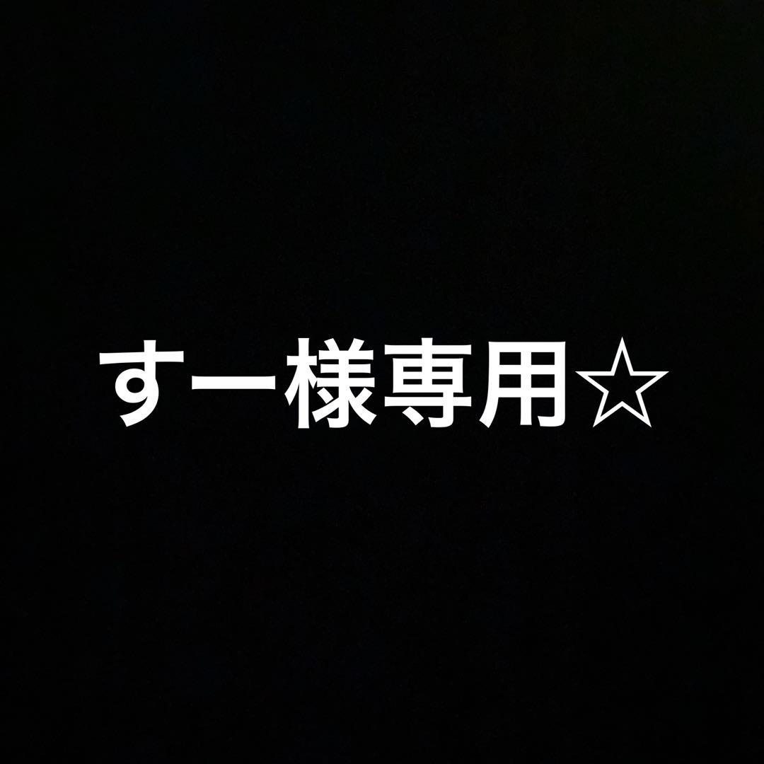 すー様専用☆