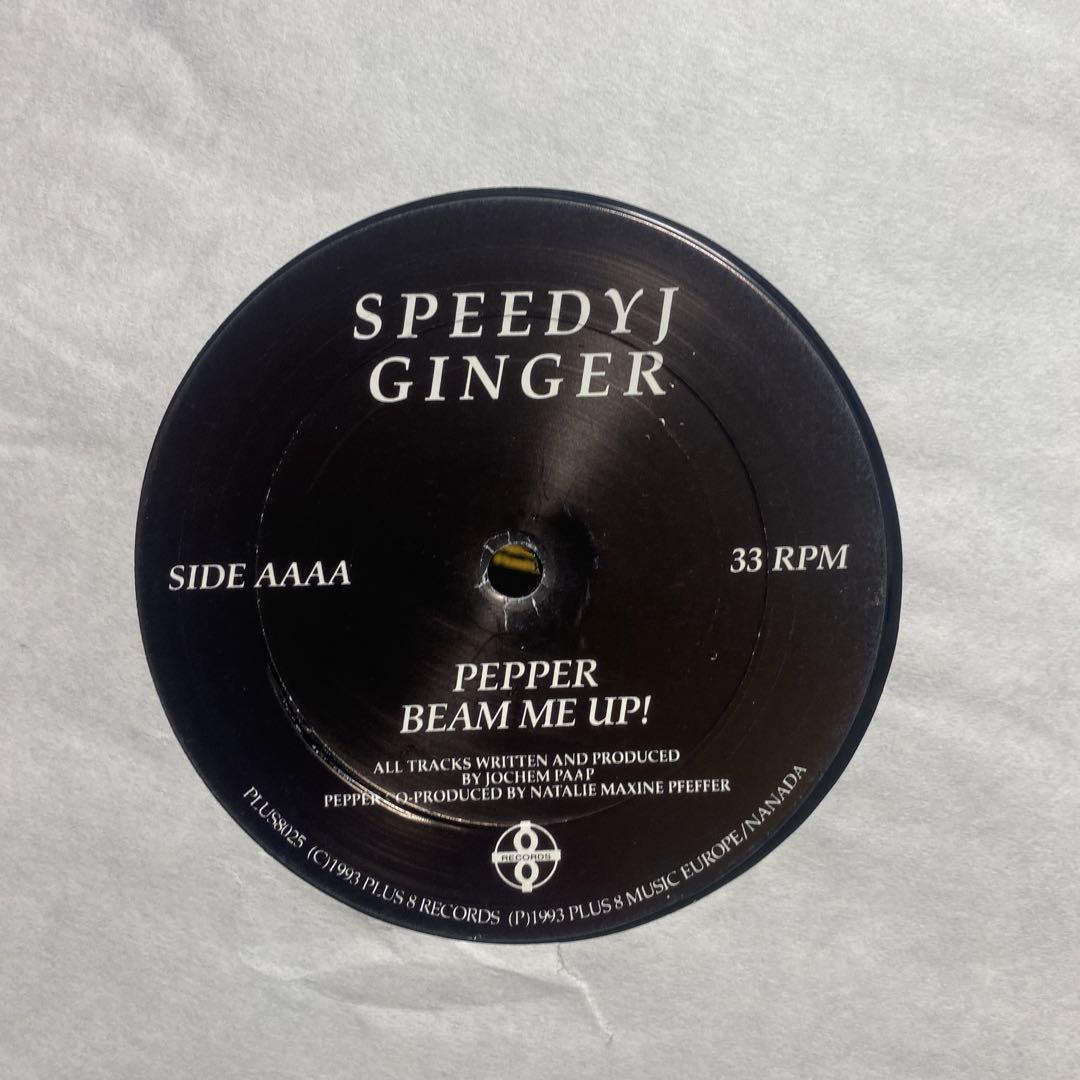 SPEEDY J GINGER 超レア2枚レコード