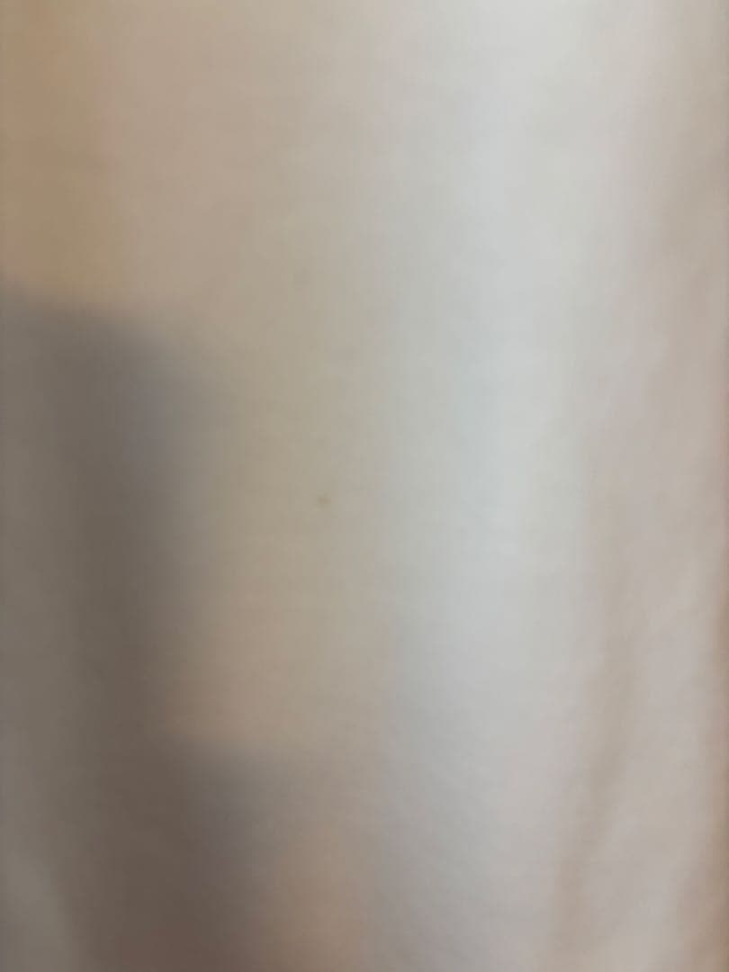 DRIES VAN NOTEN スウェットノースリーブ