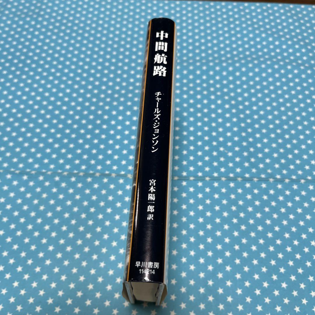 犯し屋ブルース☆港雄一男の劇場映画 絶版希少昭和レトロ帯付き